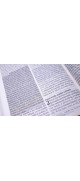 Biblia de promesas - Letra Gigante- Imitación pie