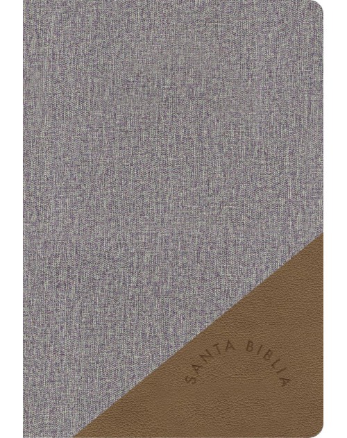 Biblia RVR60 Letra Grande Tamaño Manual gris y marrón, símil piel