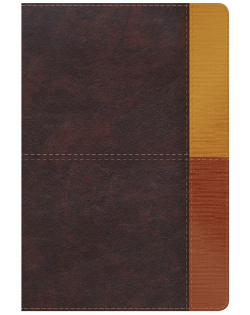Biblia de estudio Arcoiris RVR60 i/piel marrón 3 tonos