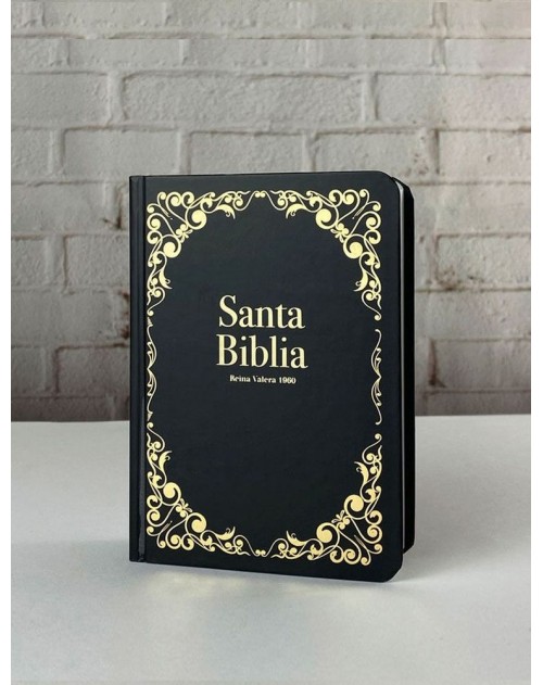 Biblia Tapa Flexible Negro Oro , Rvr1960