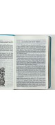 Biblia Letra Grande Piel Turquesa RVR60